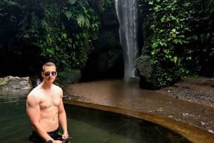 Ubud Bali: Tukad Cepung, Goa Raja en Tirta Empul Tour