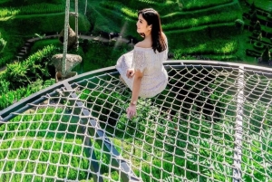 Ubud: aula de culinária balinesa com opção de passeio por Ubud