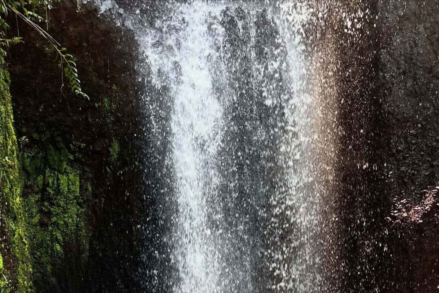Ubud: Balinese Purification Ritual at Beji Griya Waterfall
