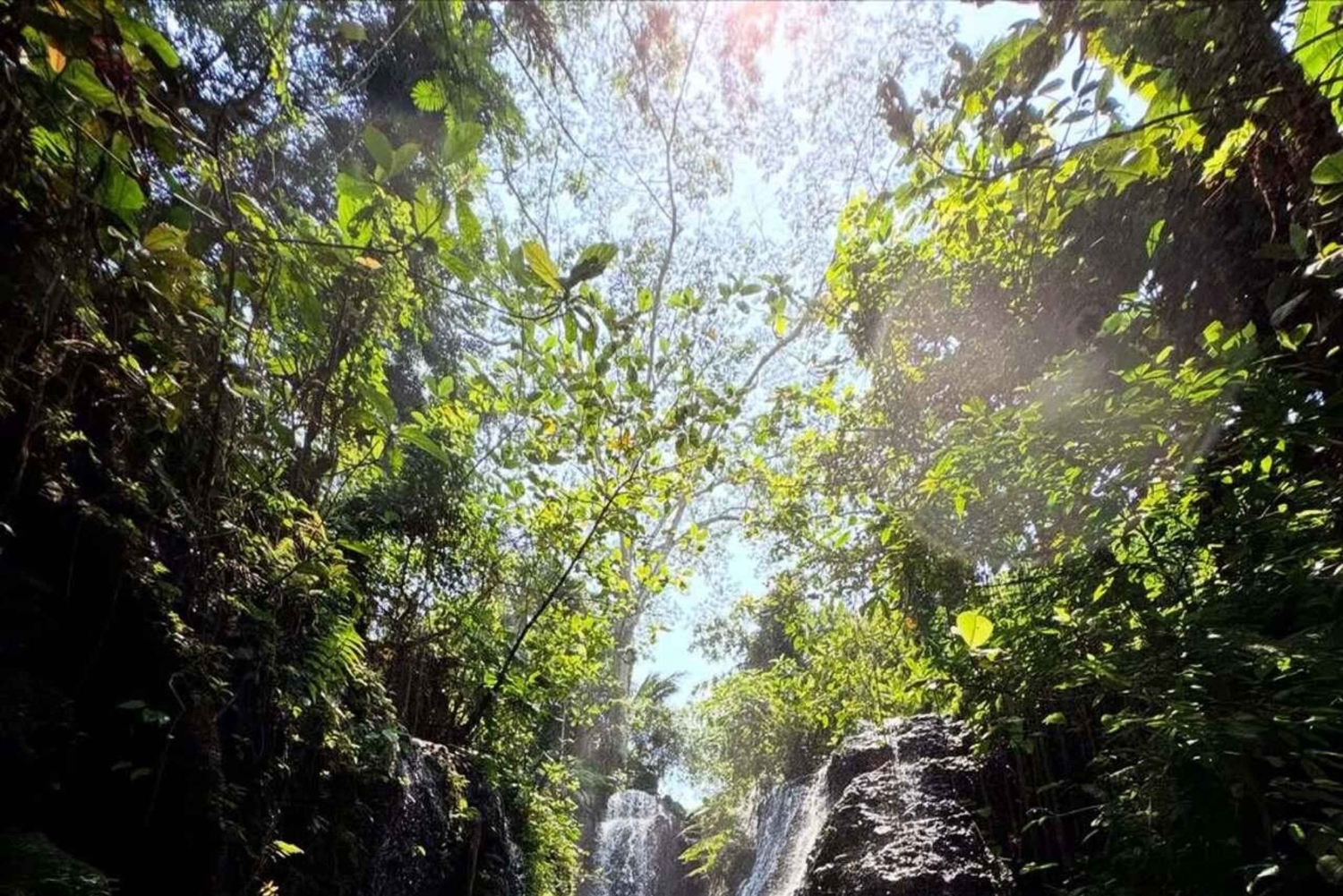 Ubud: Balinese Purification Ritual at Beji Griya Waterfall