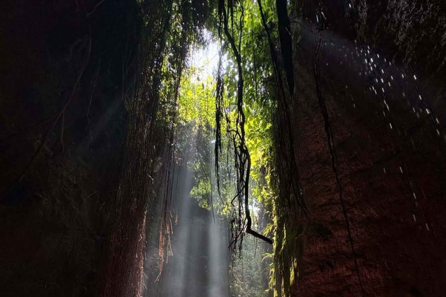 Ubud: Balinese Purification Ritual at Beji Griya Waterfall