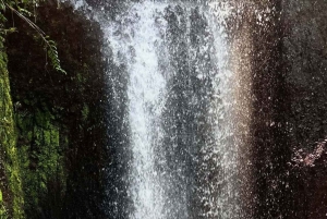 Ubud: Balinese Purification Ritual at Beji Griya Waterfall