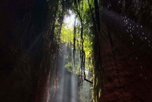 Ubud: Balinese Purification Ritual at Beji Griya Waterfall