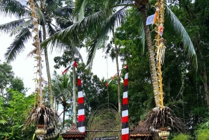 Ubud: Balinese Purification Ritual at Beji Griya Waterfall