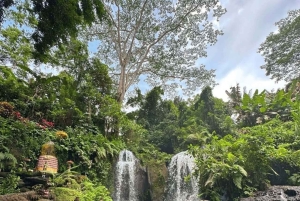 Ubud: Balinese Purification Ritual at Beji Griya Waterfall
