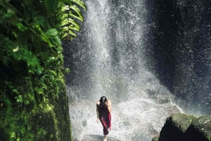 Ubud: Balinese Purification Ritual at Beji Griya Waterfall