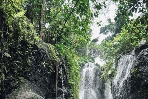 Ubud: Balinese Purification Ritual at Beji Griya Waterfall