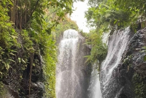 Ubud: Balinese Purification Ritual at Beji Griya Waterfall
