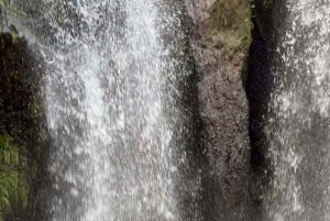 Ubud: Balinesisk renselsesritual ved Griya Beji-vandfaldet