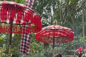 Ubud: Balinesisk renselsesritual ved Griya Beji-vandfaldet