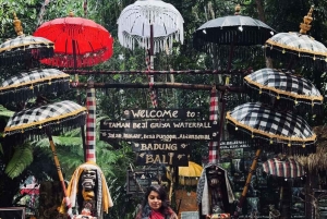 Ubud: Balinesisk renselsesritual ved Griya Beji-vandfaldet