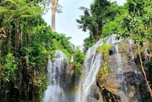 Ubud: Balinesisk renselsesritual ved Griya Beji-vandfaldet