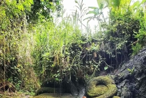 Ubud: Balinesisk renselsesritual ved Griya Beji-vandfaldet