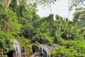 Ubud: Balinesisk renselsesritual ved Griya Beji-vandfaldet