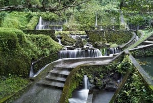 Ubud: balijski rytuał oczyszczenia i warsztaty