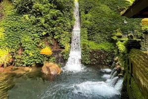 Ubud: balijski rytuał oczyszczenia i warsztaty