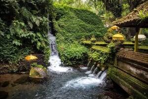 Ubud: balijski rytuał oczyszczenia i warsztaty