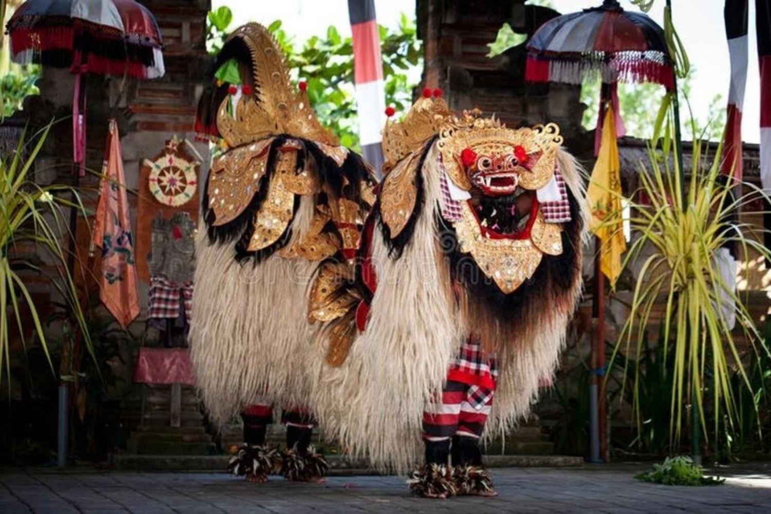 Ubud : Barong Dance, Temple, Rice Terrace & Waterfall