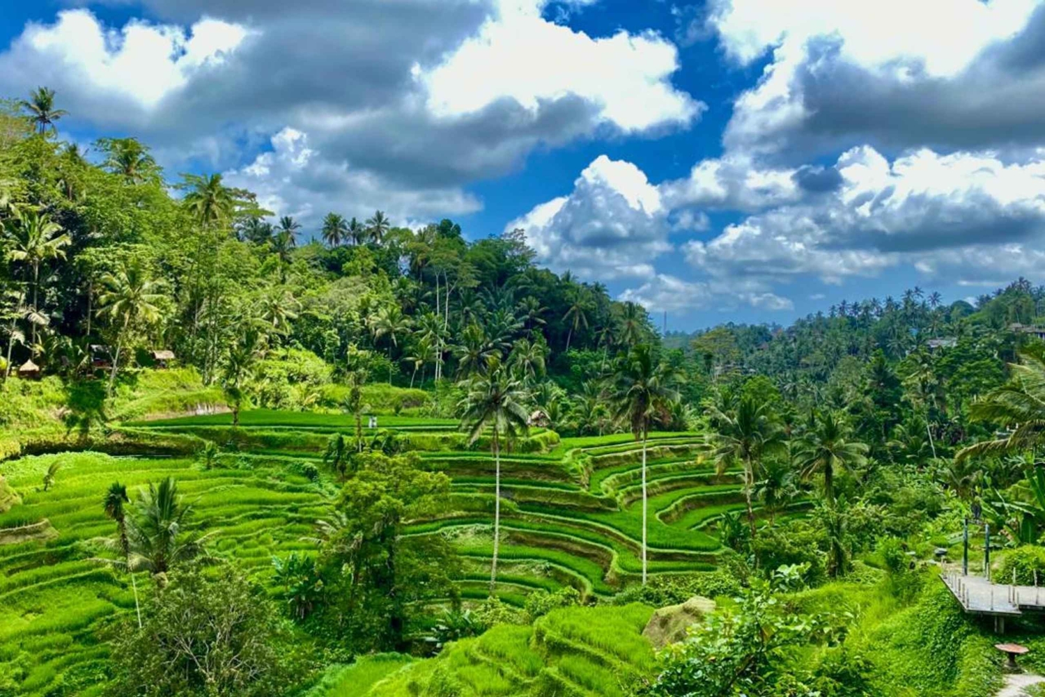 Ubud: Barong-dans, vattenfall och rissterrass