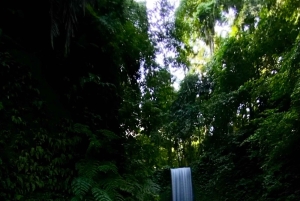 Ubud: Barong-dans, vattenfall och rissterrass