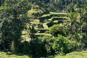 Ubud: Barong-dans, vattenfall och rissterrass