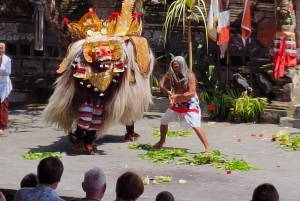 Ubud: Barong-dans, vattenfall och rissterrass