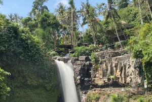 Ubud: Barong-dans, vattenfall och rissterrass