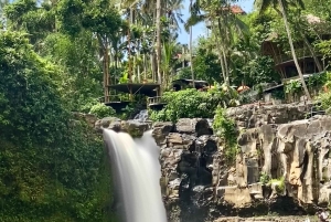 Ubud: Barong-dans, vattenfall och rissterrass