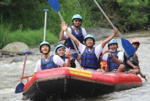 Ubud: Beji River Adventure ATV yksityisillä radoilla