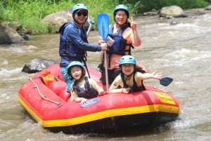 Ubud: Beji River Adventure ATV yksityisillä radoilla