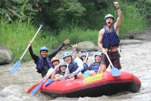 Ubud: Beji River Adventure ATV yksityisillä radoilla