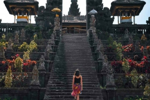 Ubud : Besakih Temple, Waterfall and Swing with Rice Terrace