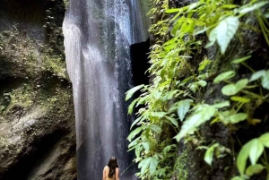 Ubud : Besakih Temple, Waterfall and Swing with Rice Terrace