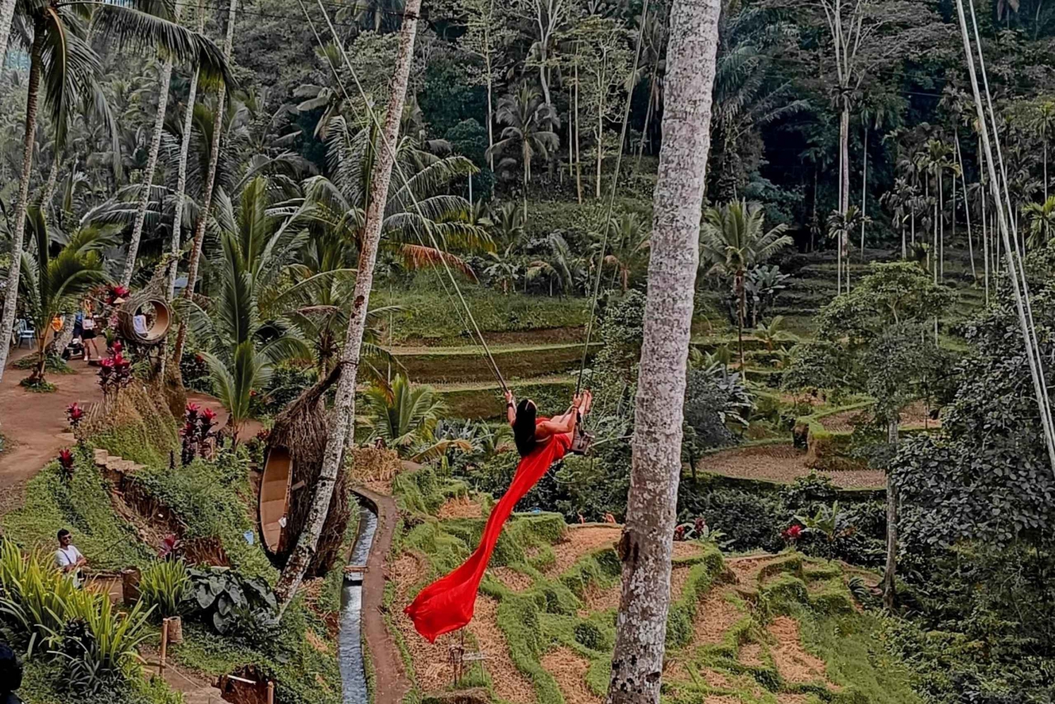 Ubud Best Attractions: Rice Terrace, Waterfall, Swing Tour