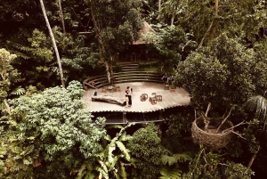 Ubud: Best Kept Secrets Instagram Adventure Private Tour