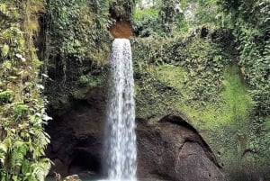 Ubud : Bästa av 3 dolda vattenfall Måste besökas