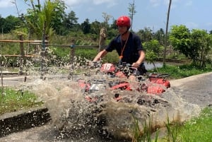 バリ島ベスト・オブ・ウブド ゴリラの顔 ATV クワッドバイクツアー