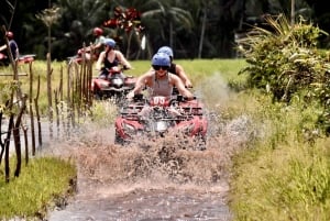 バリ島ベスト・オブ・ウブド ゴリラの顔 ATV クワッドバイクツアー