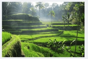 Ubud: Best of Ubud Private Day Tour with Local Guide