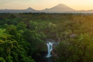 Ubud: Best of Ubud Private Day Tour with Local Guide