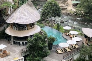 Ubud: Best of Ubud Private Day Tour with Local Guide
