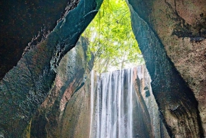 Ubud: Excursões particulares de 1 dia para o melhor da cachoeira
