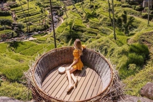 Ubud: best waterfall, rice terrace jungle swing and ATV ride