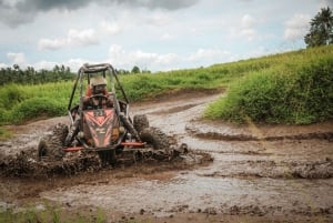 Ubud: buggyrit, tubing en koffieplantagetour