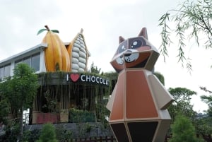 Ubud: Kakaoplantasjetur med sjokoladeverksted og smaksprøver