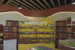 Ubud: Kakaoplantasjetur med sjokoladeverksted og smaksprøver