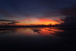 Ubud & Canggu: Rice Terrace, Waterfall & Black Sand Beach
