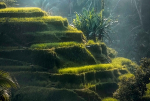 Ubud: Klassisk vintage Volkswagen-tur