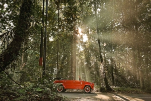 Ubud: Klassisk vintage Volkswagen-tur