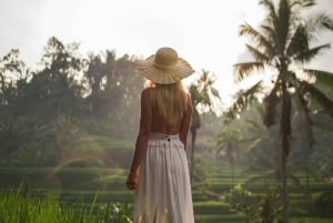 Ubud: Klassisk vintage Volkswagen-tur